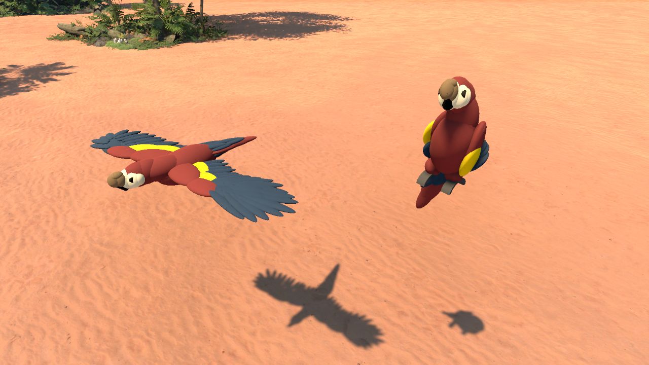 Macaws