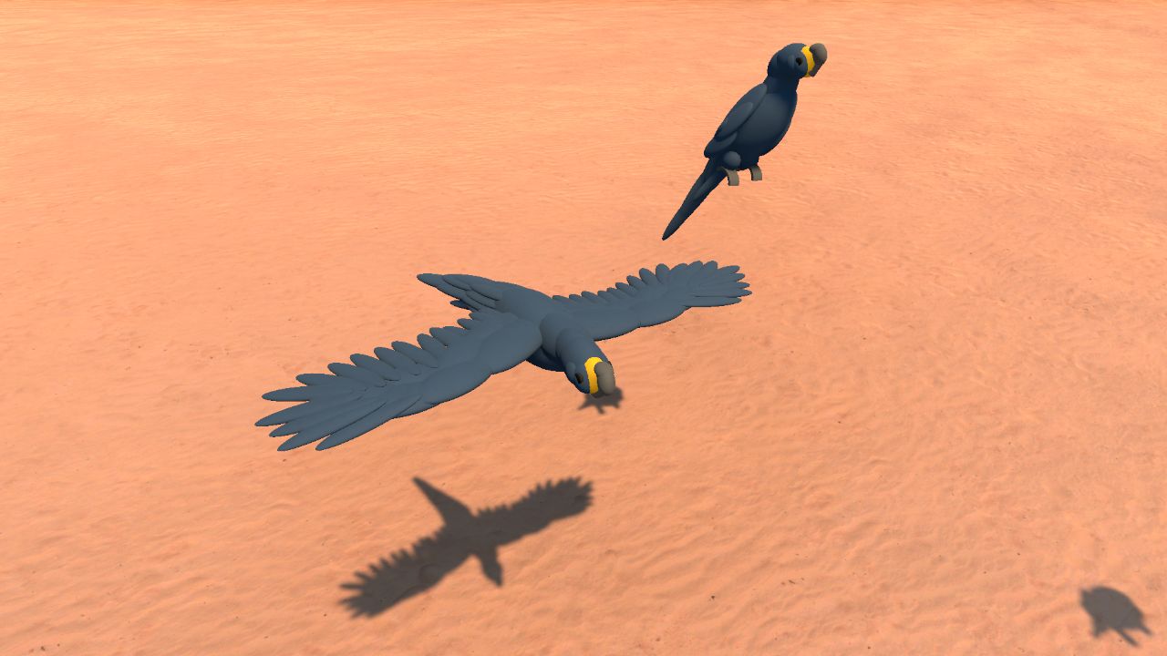 Macaws