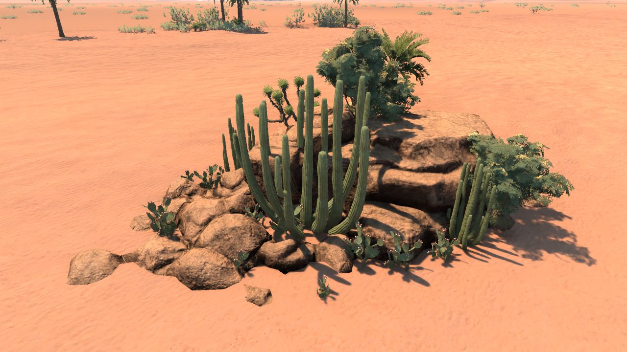 Desert Cluster