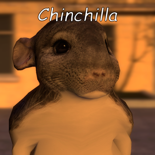 Chinchilla PM