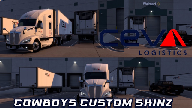 T680G Ceva paint
