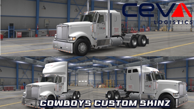 International 9900I Ceva paint