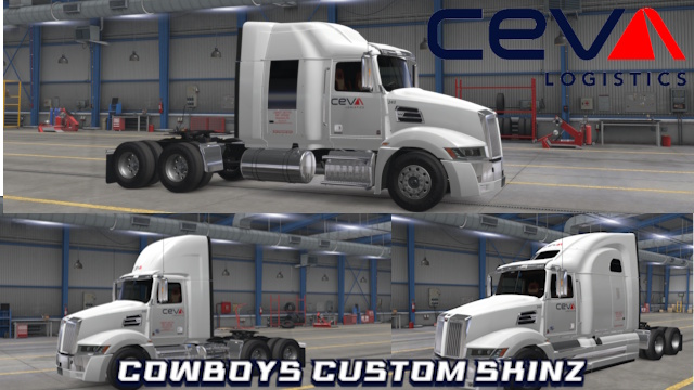 Western Star 5700XE Ceva Paint