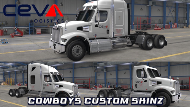 Western Star 49x Ceva paint