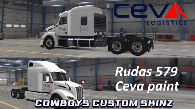 Rudas 579 Ceva Paint job