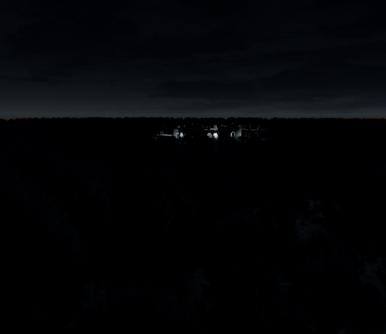 nightforest