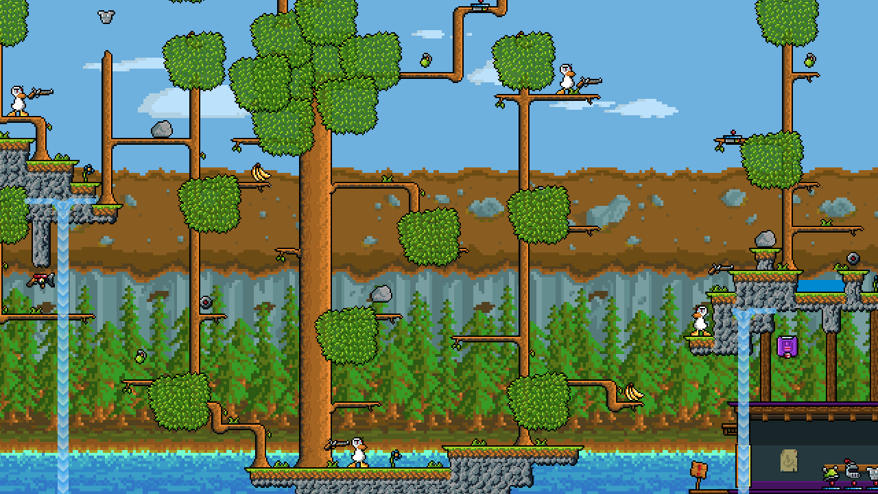 Tree Top Treasure