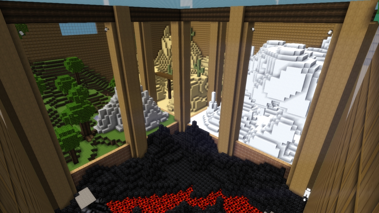 4 Biomes