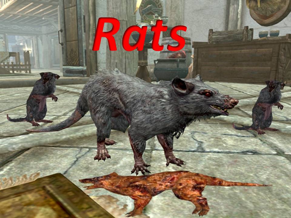 Immersive Rats
