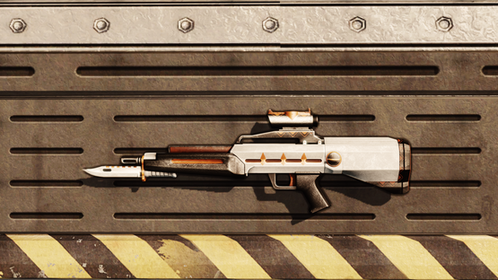Sentinel Burst Rifle