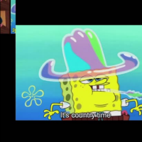 Shitty Memes