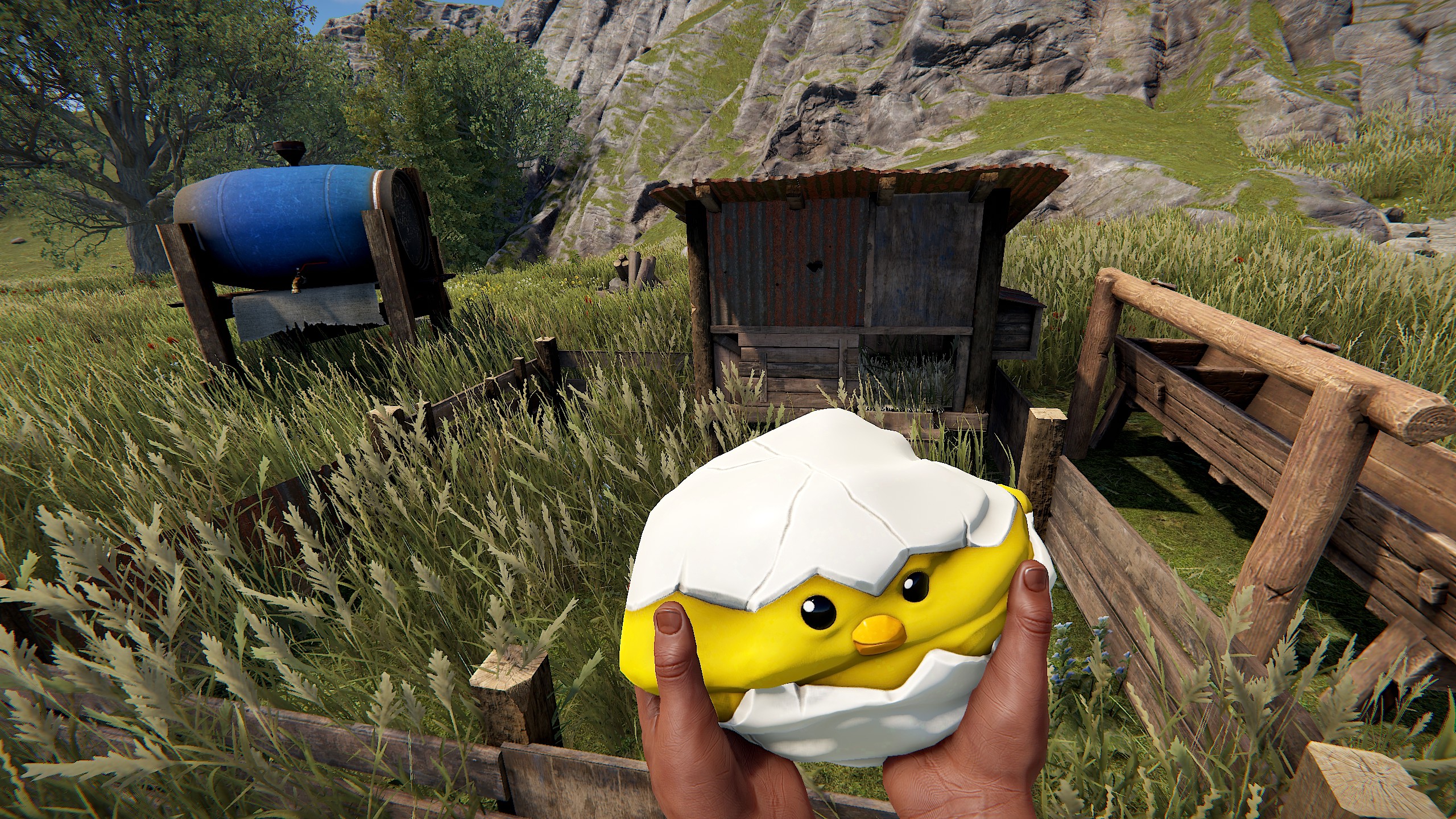 Mister Chick Rock thumbnail 2