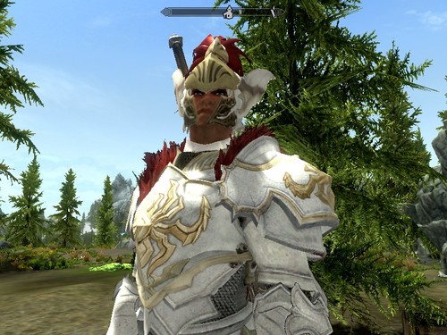 Noble Champion Armour