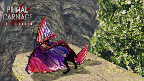 Vitality Tupa