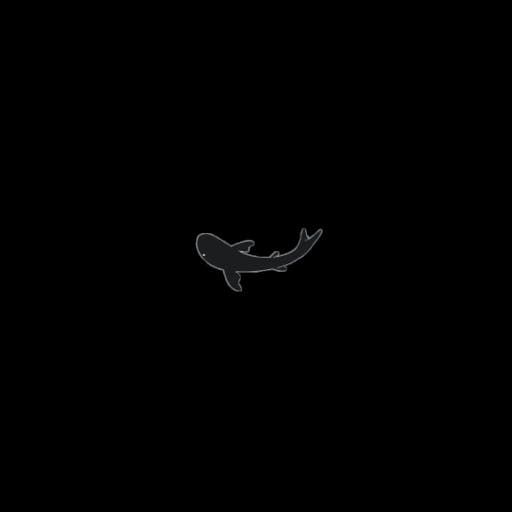 Fish Shadow 2