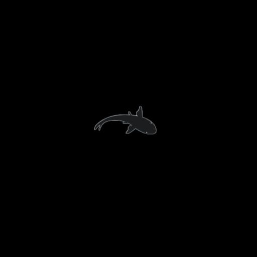 Fish Shadow 4