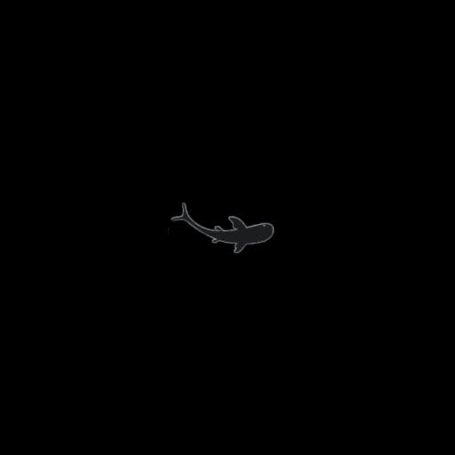 Fish Shadow 5