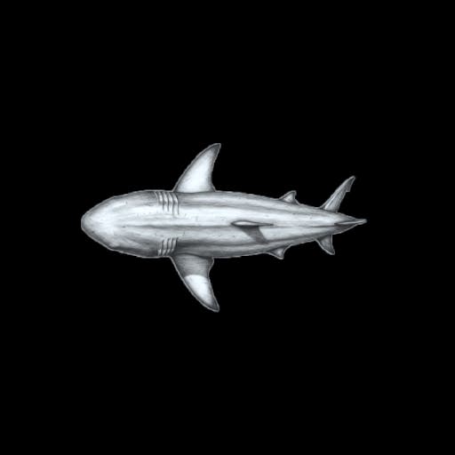 Shark 5