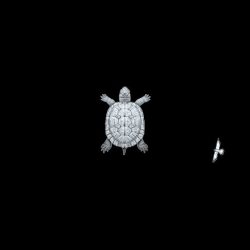 Turtle 1