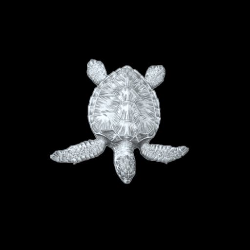 Turtle 3