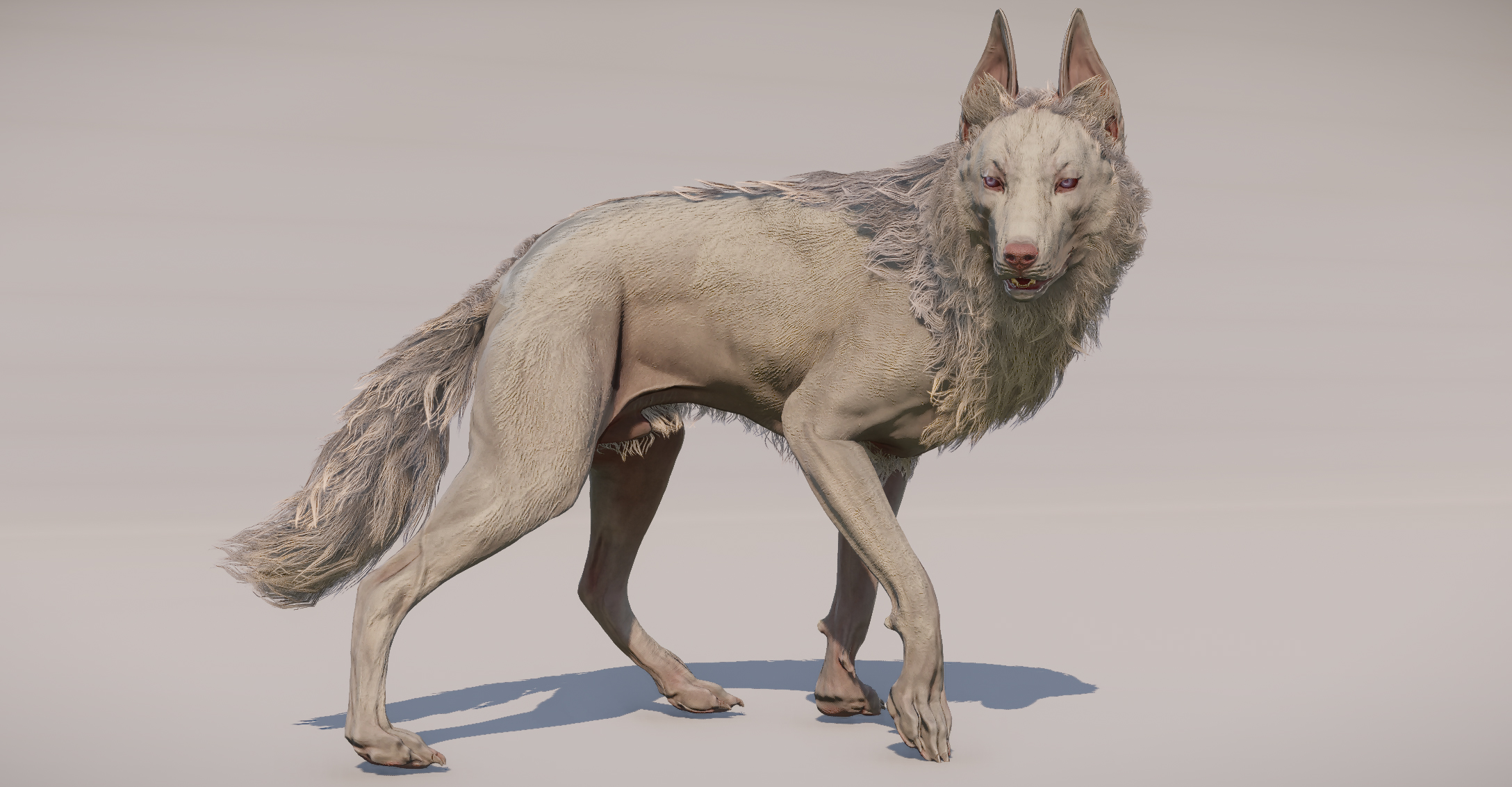 Albino Mutt