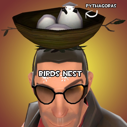 Lil' Bird Nest