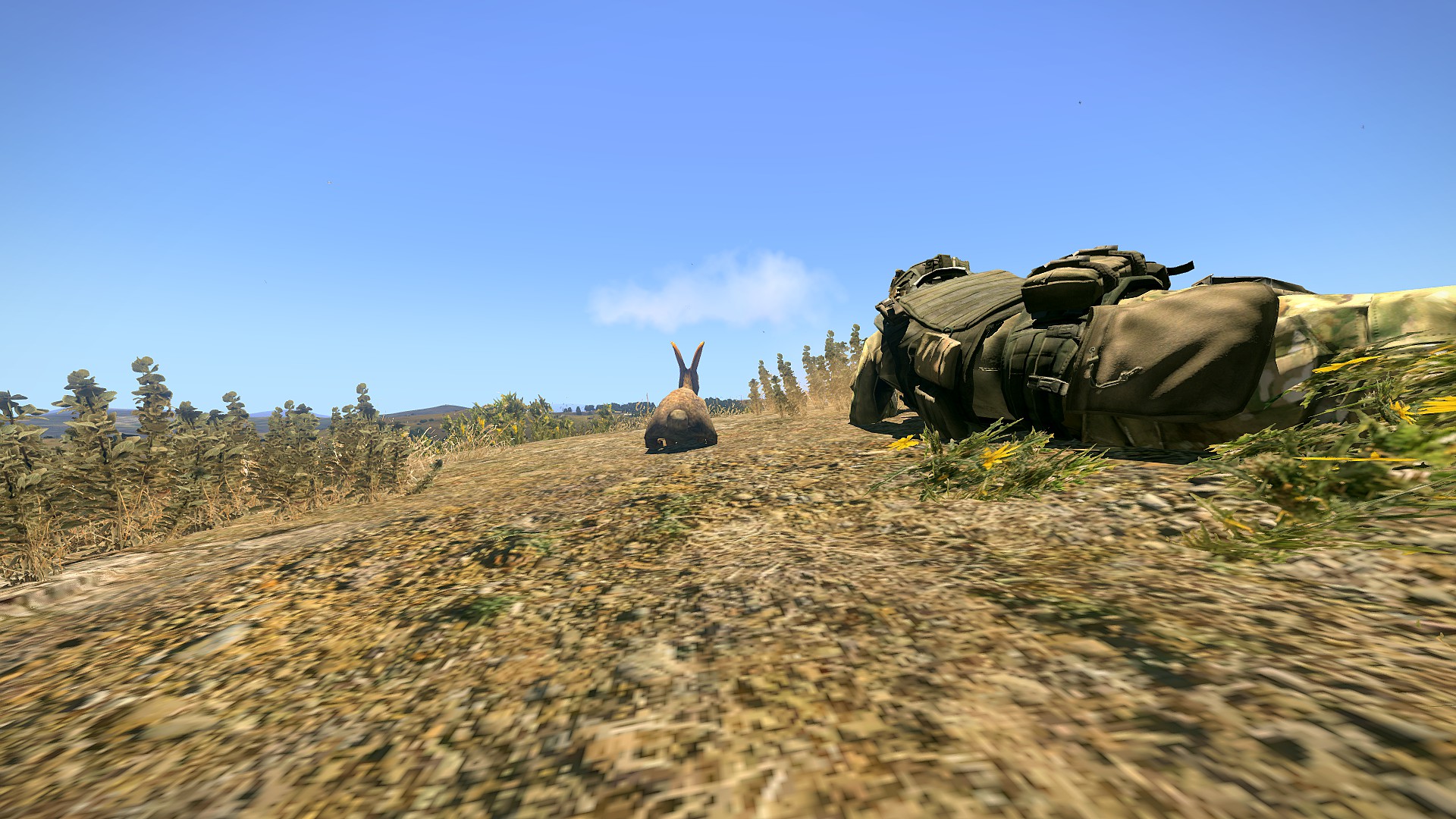 Rabbit Solider preview