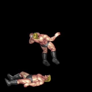 Moonsault Fall C-1 (Face Up, Near Head)
