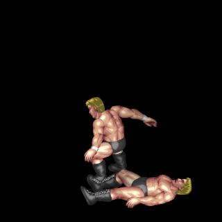 Moonsault Fall C-2 (Face Up, Near Legs)