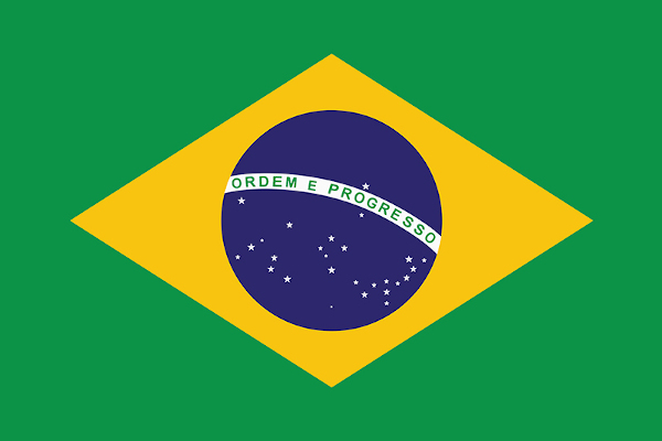 WTFO Traducao Portugues (desatualizada) preview