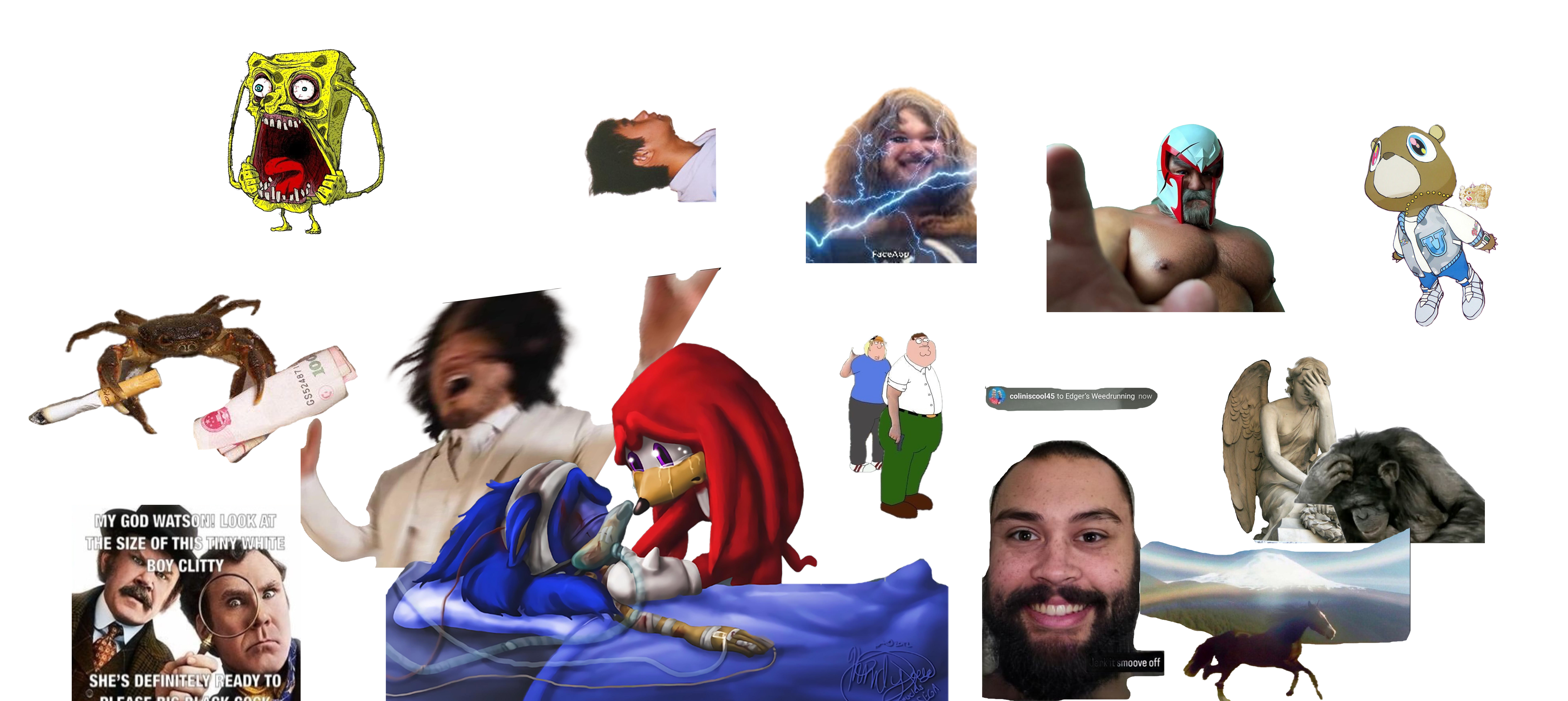 Wormmap2