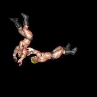 Top Rope German Suplex