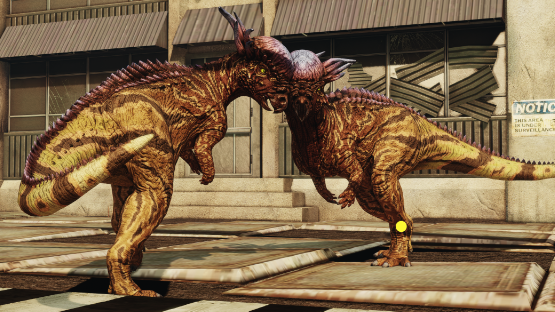 Iatus Pachy mutation and Hourglass pachy skin!
