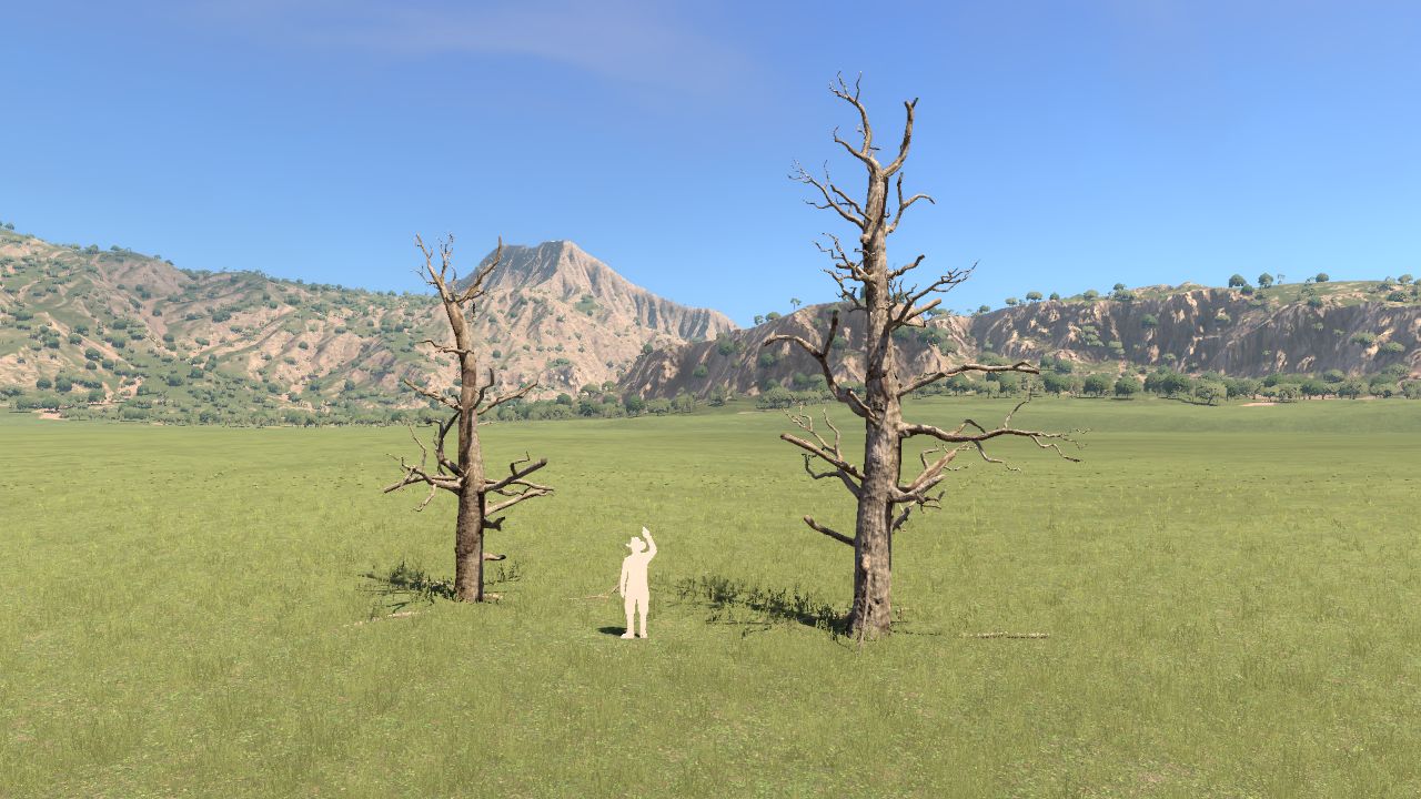 Dead Pines