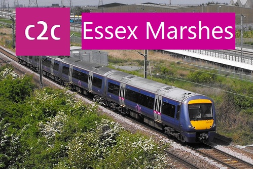 Essex Marshes