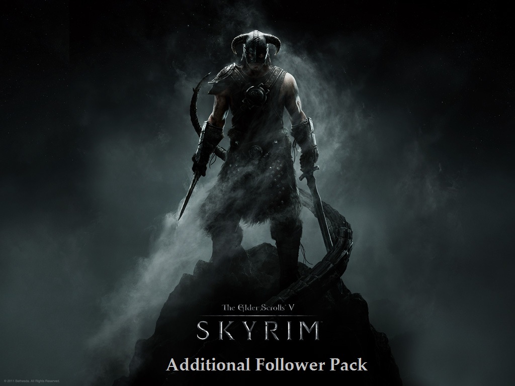 Additional Follower Pack
