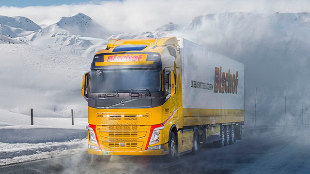 Combo Skin Otto Bischof Transport