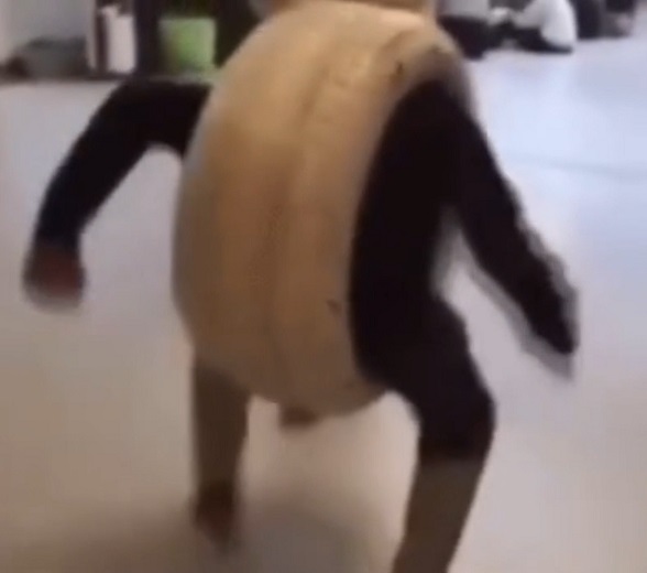 Malicious Living Tire (PAC3)