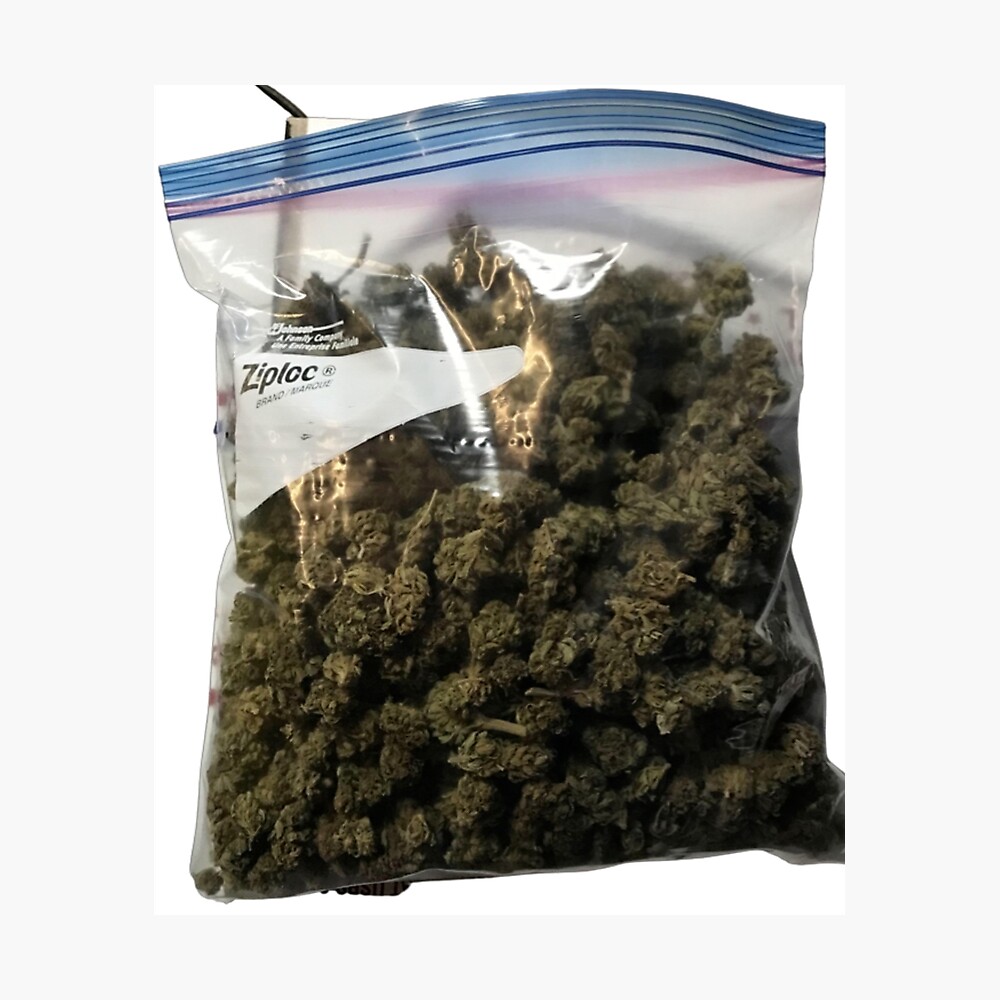 Little baggy is an ounce of marijuana