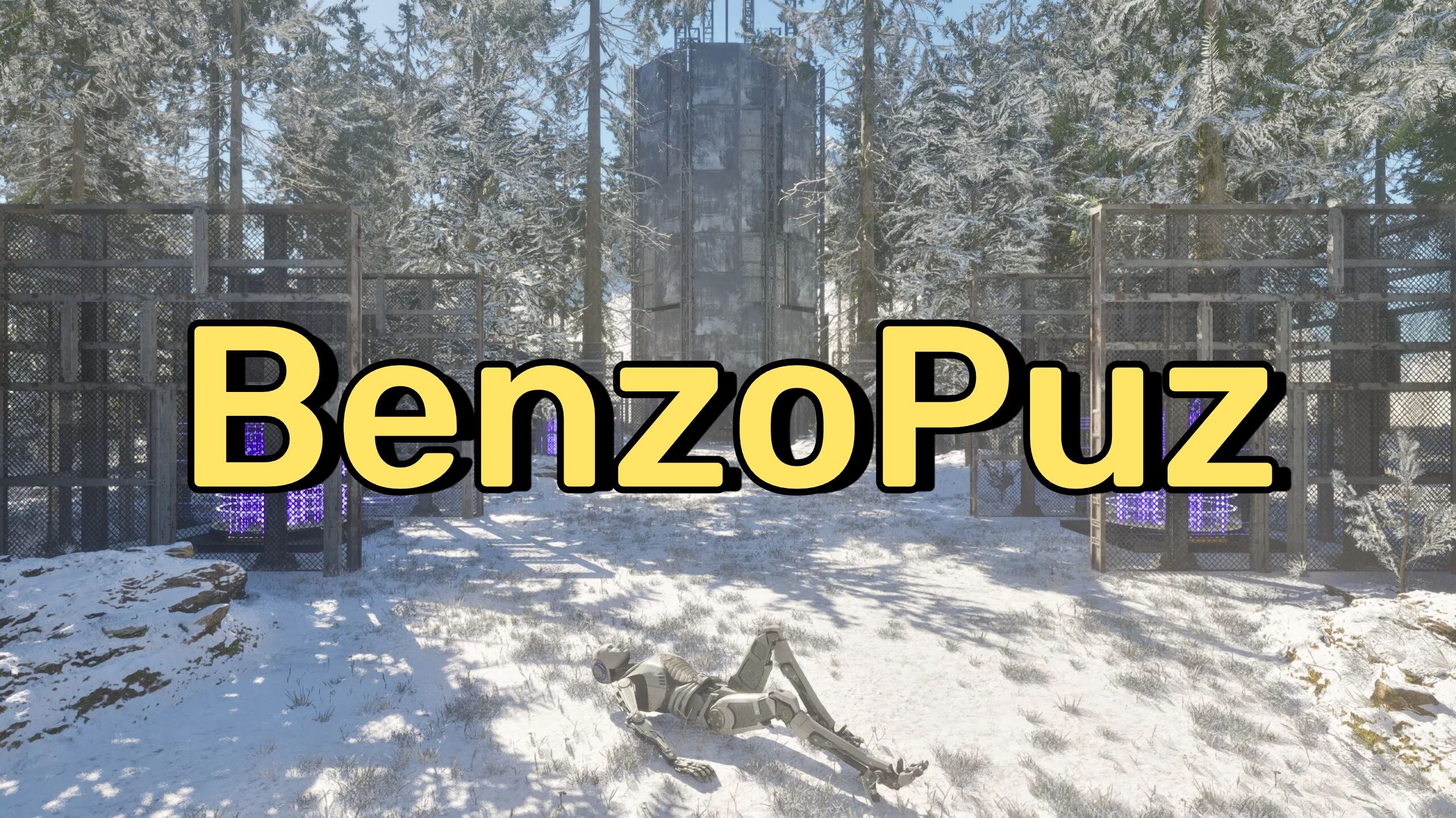 BenzoPuz