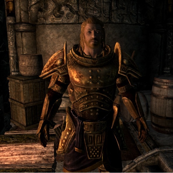 Haldor - Paladin of Markarth