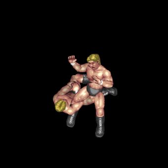 飛びつきアキレス腱固め/Flying Achilles Hold