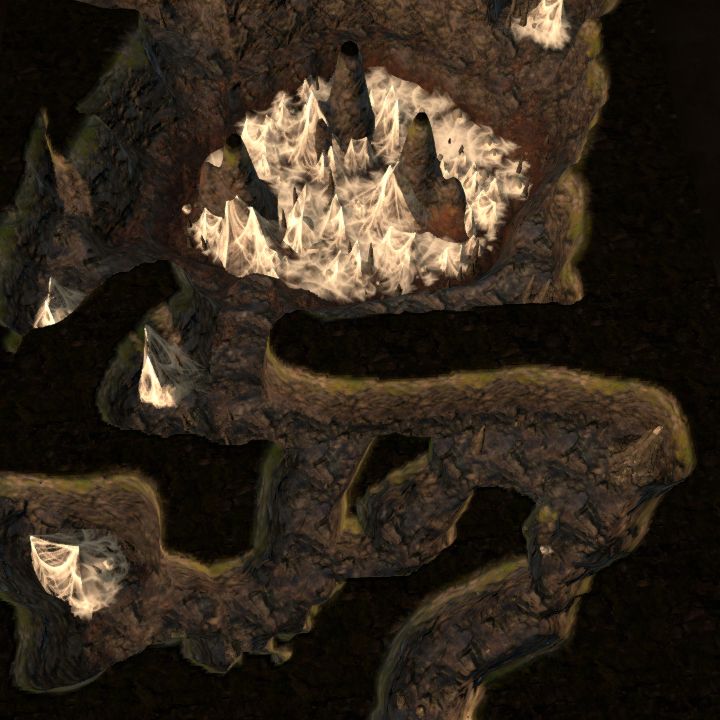 Spider Cave - spiders