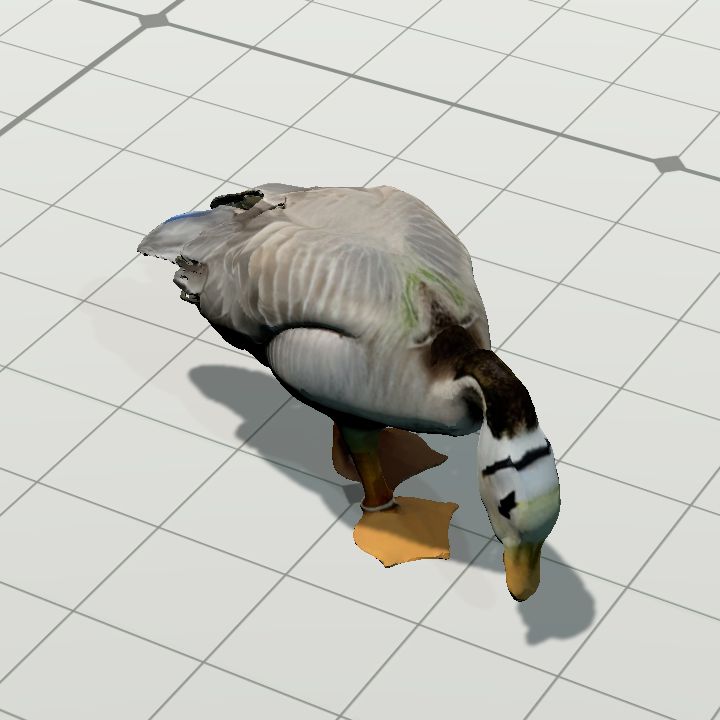Duck 1