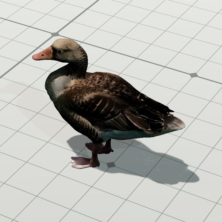 Duck 2