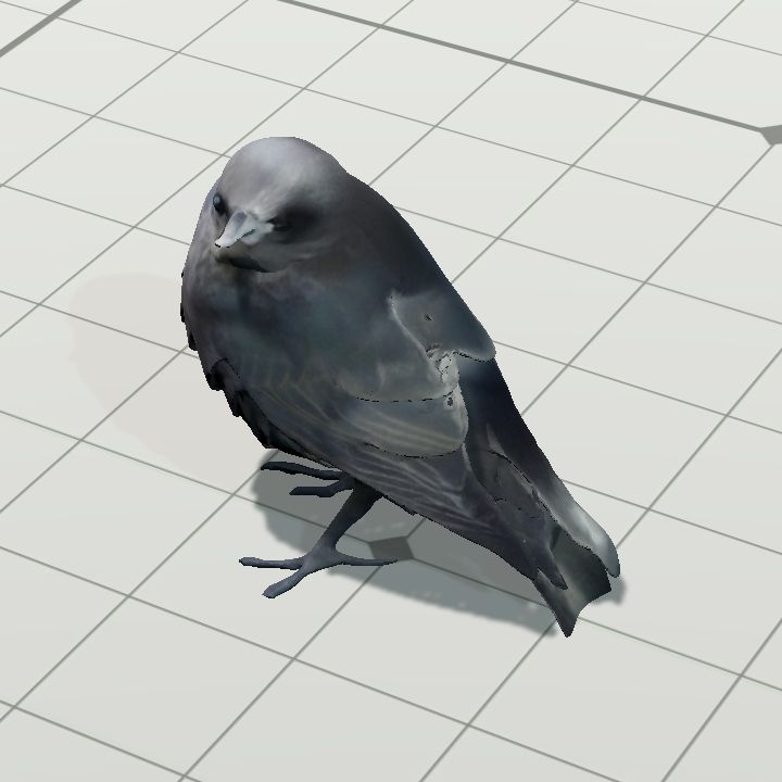 Dollopsplodge the starling chick