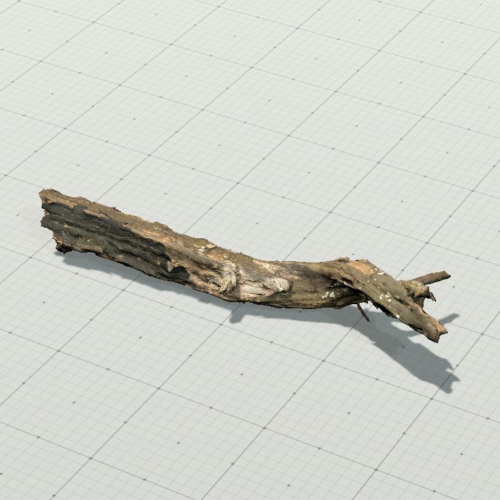 Tree trunk lying flat