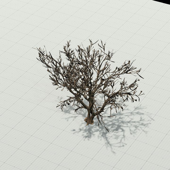 Tree 2 - upright