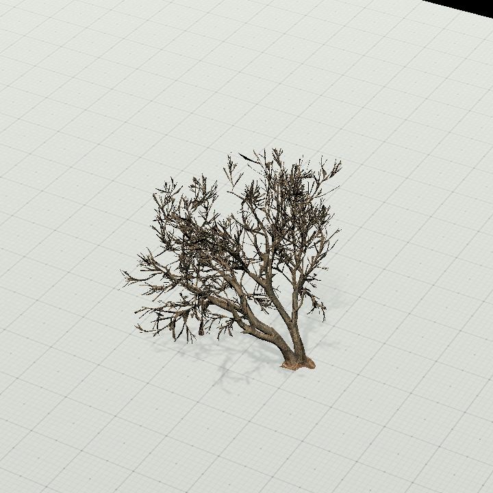 Tree bent 2