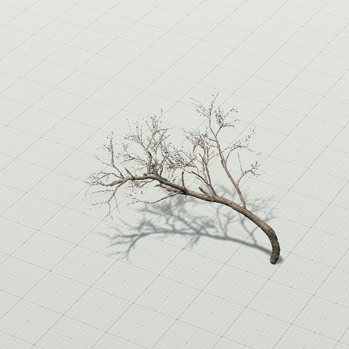 Tree bent 1